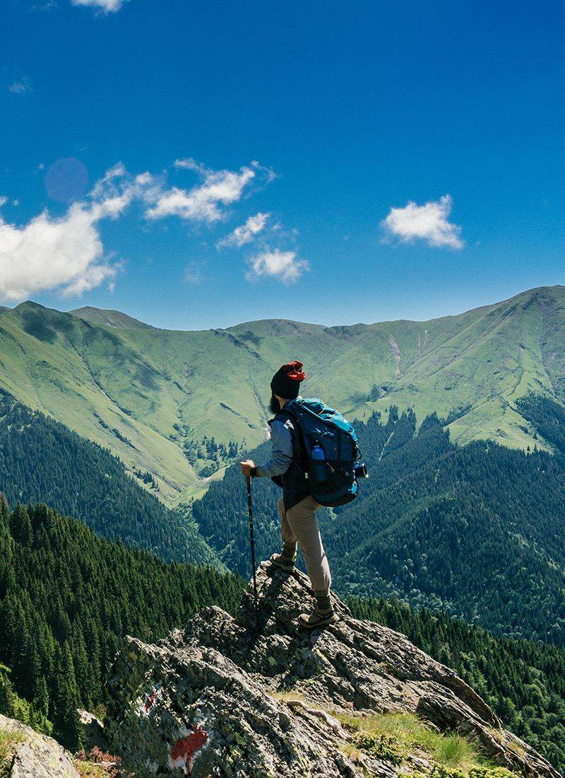 Central Suriname Nature Reserve